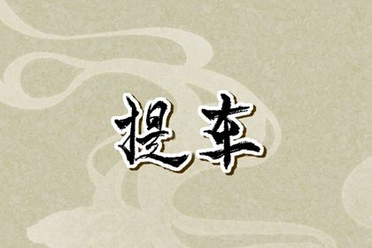 2025年03月08日提车合适吗？ 今天提新车怎么样？