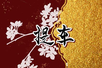 2025年04月17日是否适宜提车？ 今日提新车行吗？