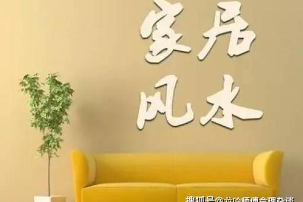 家居风水案例解析：如何通过布局提升运势和舒适度