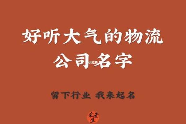 如何为新公司创意起名，确保品牌脱颖而出