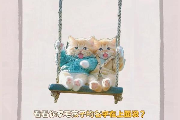 最适合小猫的可爱名字推荐