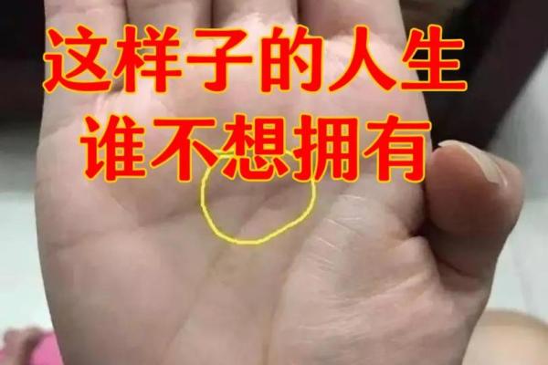 无需付费，免费测手相看透你的人生密码
