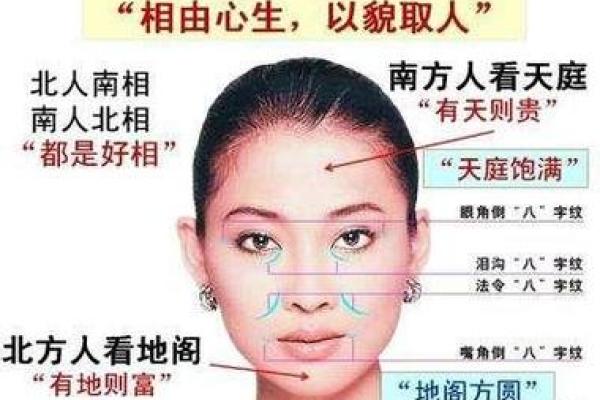 眉毛的面相分析与人生运势走向