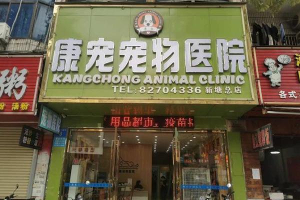 选一个与宠物个性相符的名字
