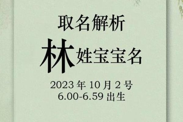 林姓女宝宝取名字推荐大全与精选寓意解析