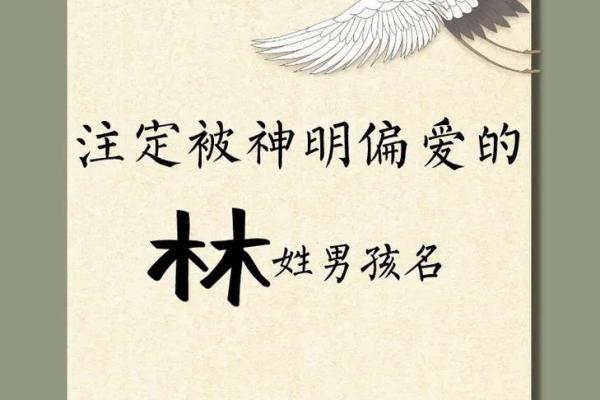 林姓女宝宝取名字推荐大全与精选寓意解析