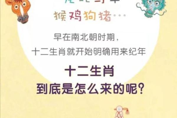 生肖故事与民间传说中的智慧与启示