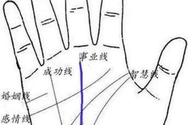 手相揭示命运：左手与右手的差异解析