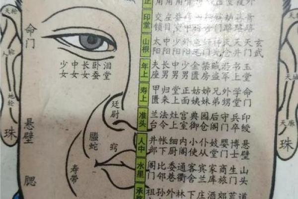 面相免费测评：从五官看人生的不同轨迹