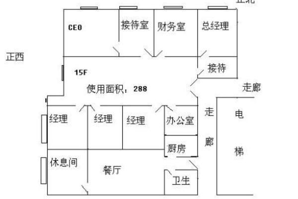 蛇年出生者办公室风水布局建议与禁忌