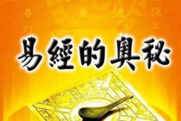 如何通过中华命理风水网改善居住环境与个人运势