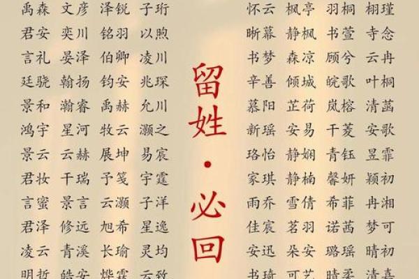 鸡年出生女孩名字的传统与现代趋势