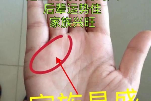 掌纹分析：手相术在现代生活中的神秘与应用