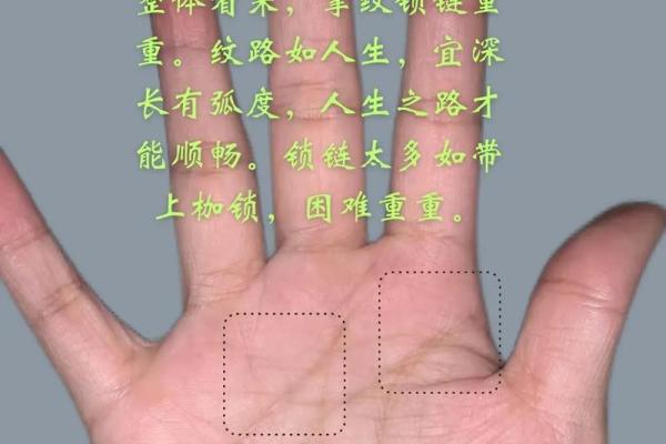 掌纹分析：手相术在现代生活中的神秘与应用