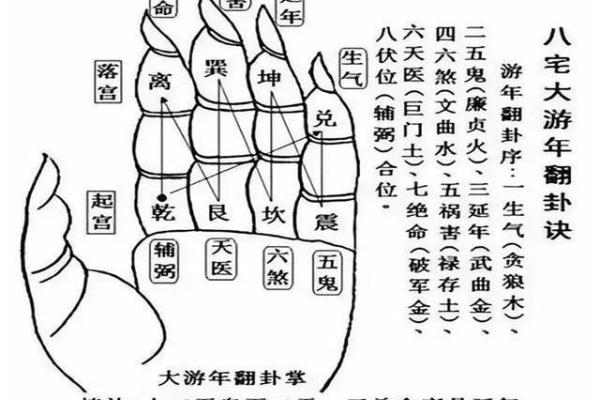 家居风水软件的使用技巧与注意事项