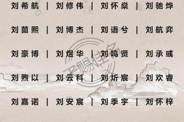宝宝小起名字大全 含义深远且易记的名字指南