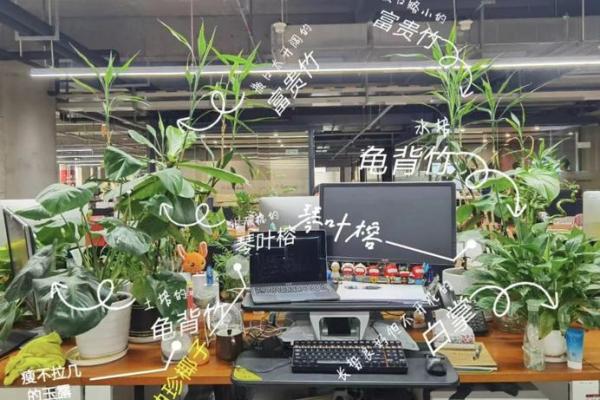 如何打造有利于事业的办公室风水工位