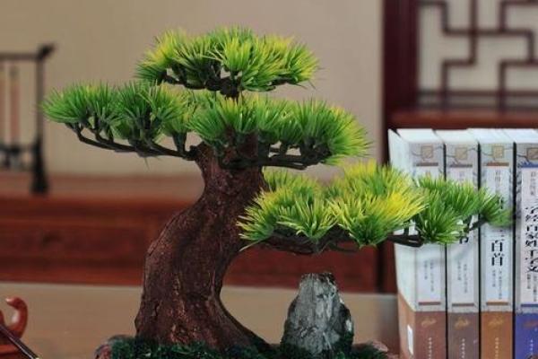 让办公室财运更旺的风水植物选项