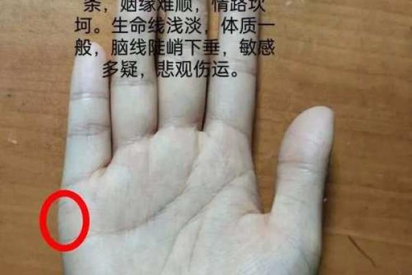 探索天干手掌图：揭开五行与掌纹的深层联系