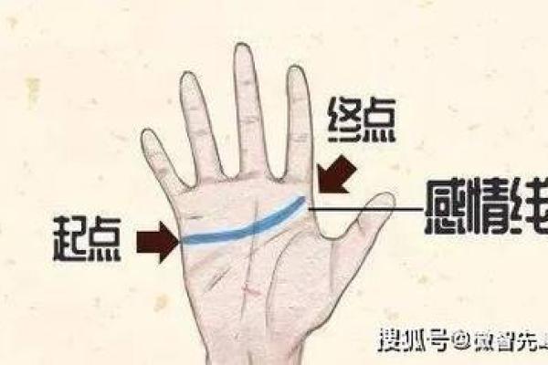 探索天干手掌图：揭开五行与掌纹的深层联系