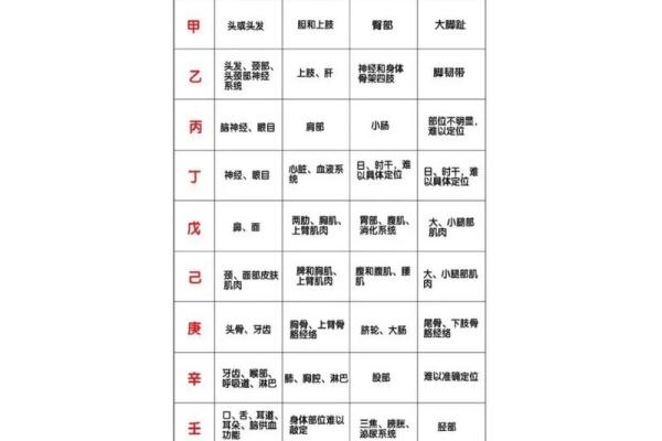 天干地支时辰表解析与应用技巧