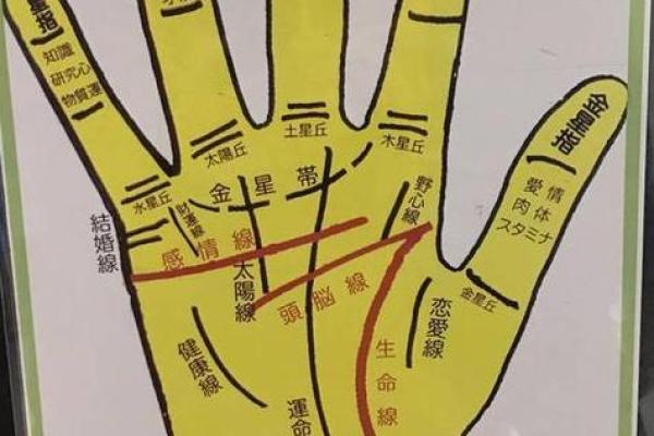 手相解析：为什么男左女右是常见的说法