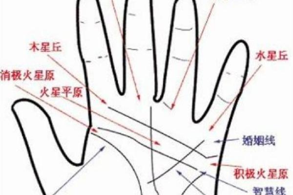 手相解析：为什么男左女右是常见的说法