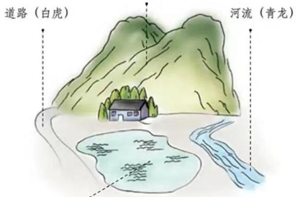 台湾命理大师揭秘人生运势与命运走向