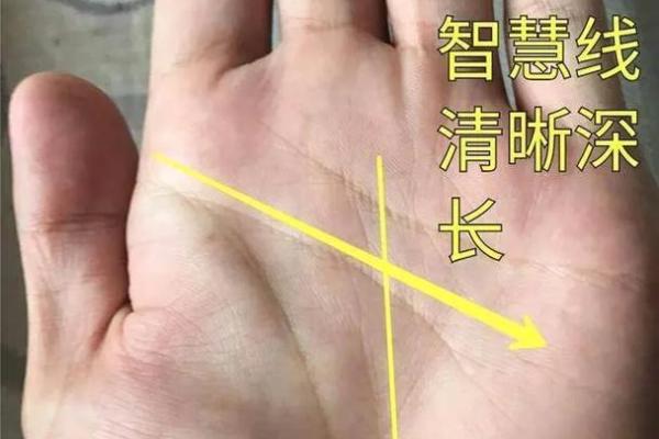 解析男人手相：看左手还是右手？