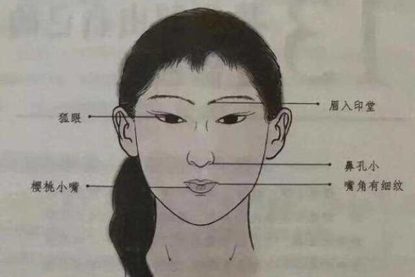 探索面相学：如何通过面部特征解读人生