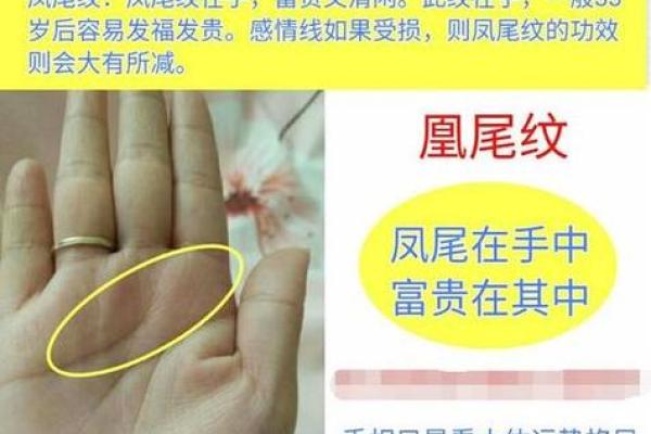 女性手相详解：探索生活中的好运与挑战