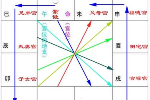 探索紫薇命理：如何通过命盘揭示命运轨迹