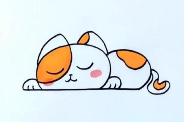 小猫名字灵感：让你的宠物与众不同