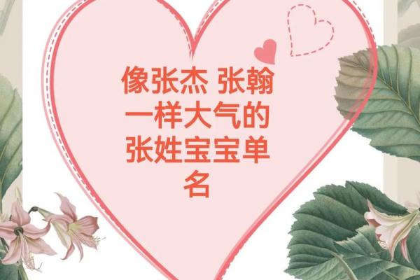 张姓男宝宝起名大全推荐助力宝宝未来发展