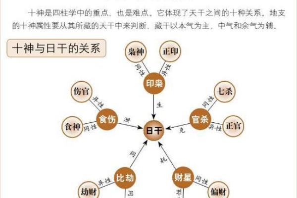 天干地支推算在命理学中的应用与解析