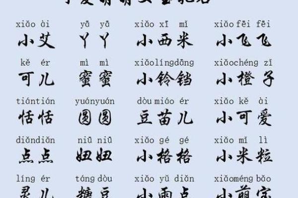宝宝名字大全：为刚出生的宝宝选择完美名字的实用指南