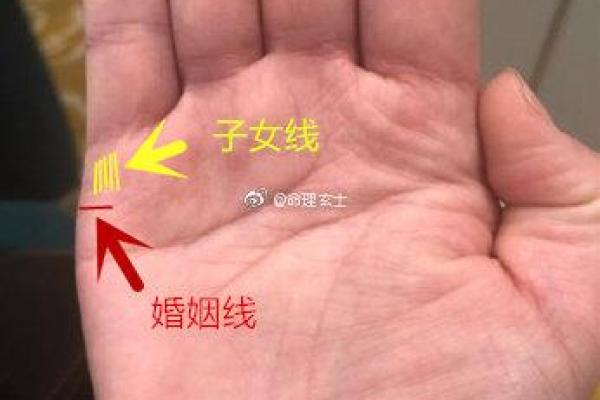 如何从手相看出子女运势