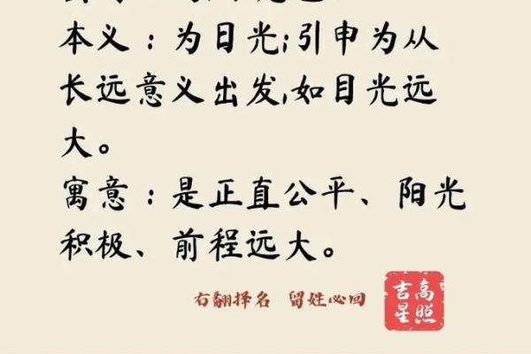 之字取名的深层寓意与象征意义解析