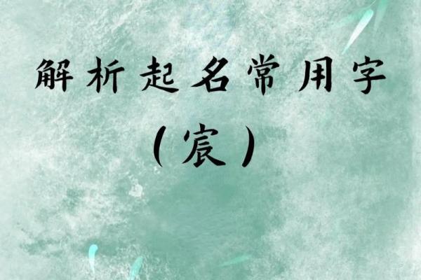 之字取名的深层寓意与象征意义解析