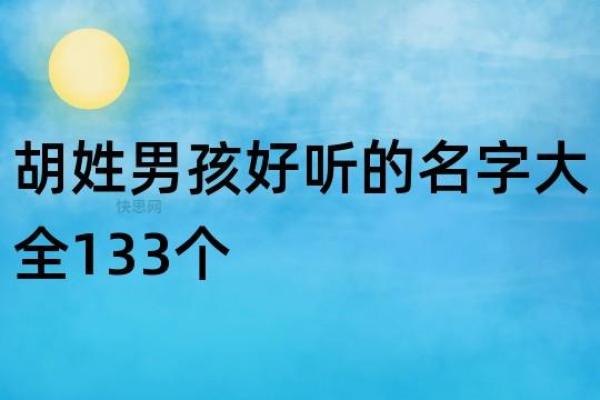 胡姓男孩取名攻略：选择寓意深远的名字技巧与建议