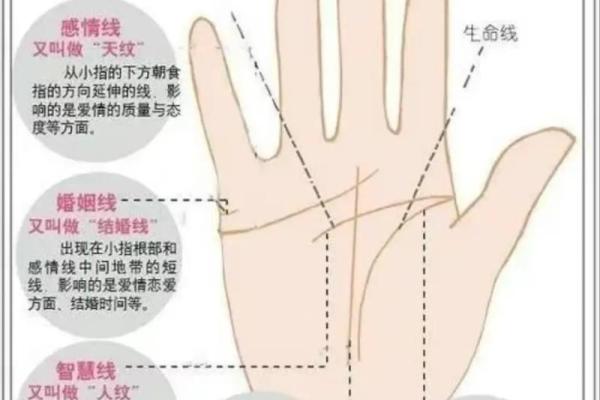手相测试揭秘：通过掌纹读懂人生轨迹