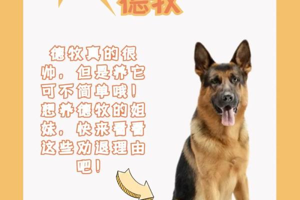 给狗狗起名字的小窍门与创意灵感