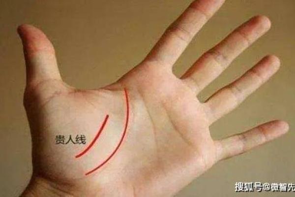 富贵手相图片：从手纹看未来的财富与成功