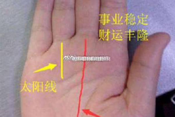 富贵手相图片：从手纹看未来的财富与成功
