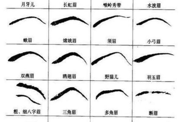 男人眉毛短的面相解析及其影响