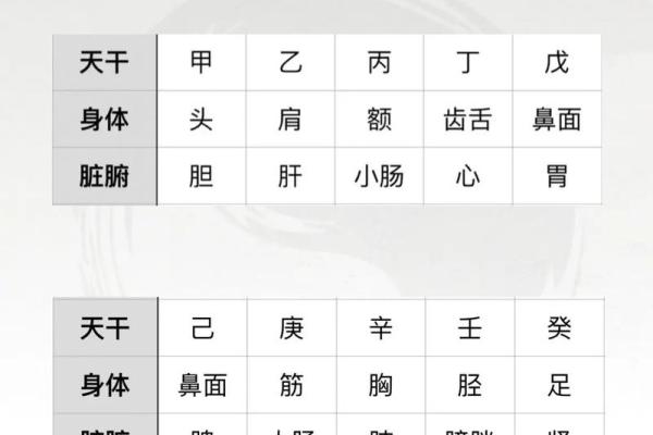 晓字五行属性分析与命理影响解析