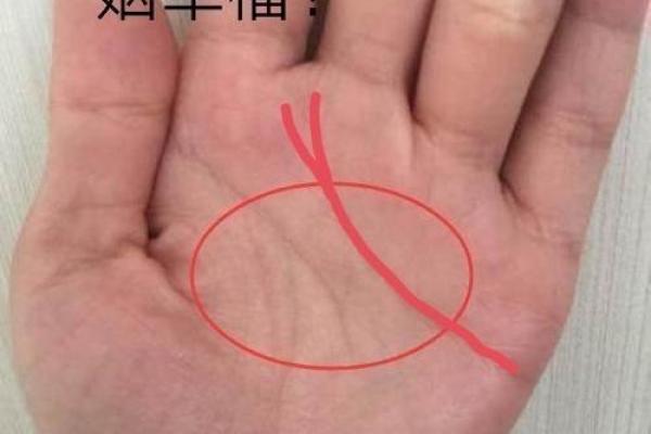 手相分析：哪些女人注定会经历二婚