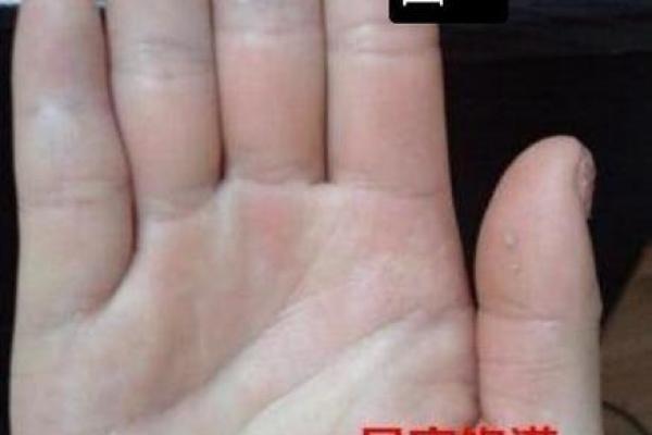 拍照测手相，免费分析你的命运轨迹