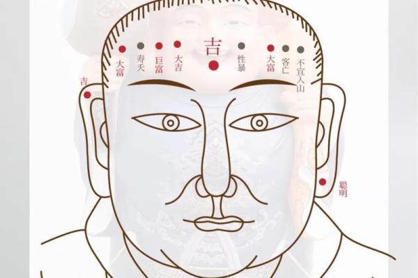 不同痣相色的含义与影响解析