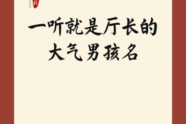 夏姓宝宝取名指南：为鸡年宝贝挑选最合适的名字